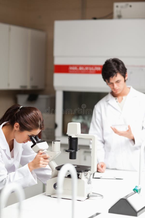 Scheikundestudenten die experimenten uitvoeren stock foto