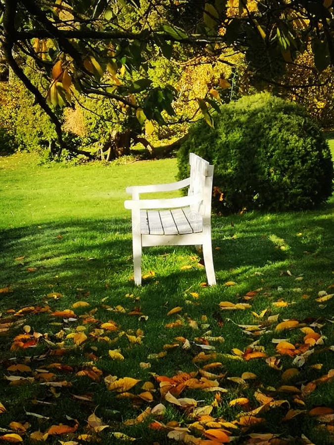 Een witte bank die zich alleen in de tuin bevinden stock afbeeldingen Een witte bank die zich alleen in de tuin bevinden stock afbeeldingen