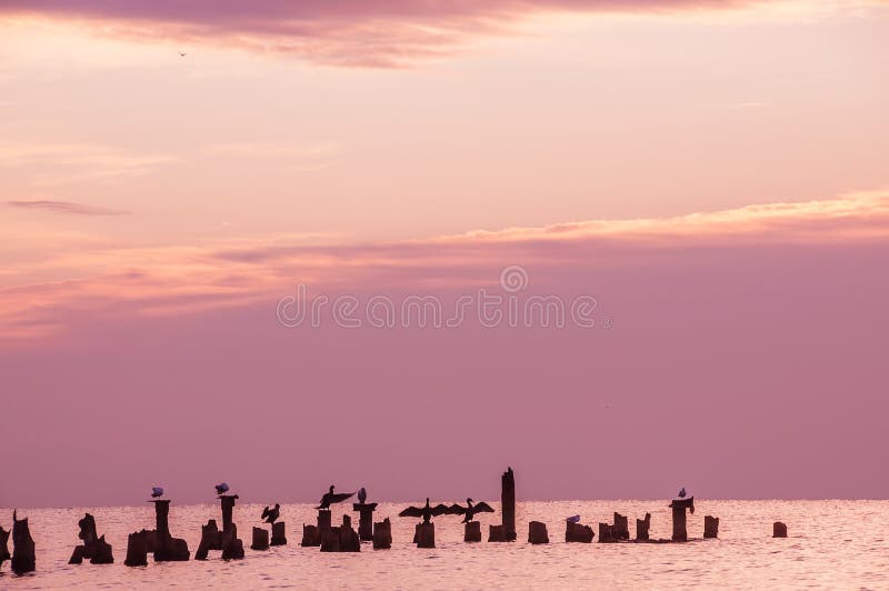 Een zachte ochtend op zee stock foto's