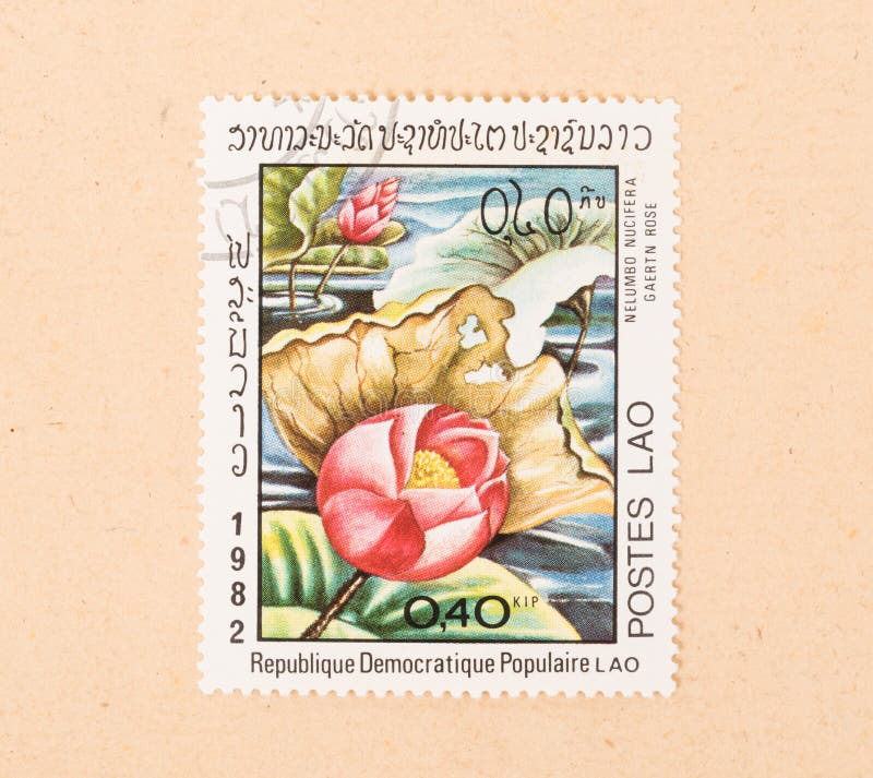 Een zegel in Laos wordt gedrukt toont een bloem, circa 1980 die stock foto's Een zegel in Laos wordt gedrukt toont een bloem, circa 1980 die stock foto's