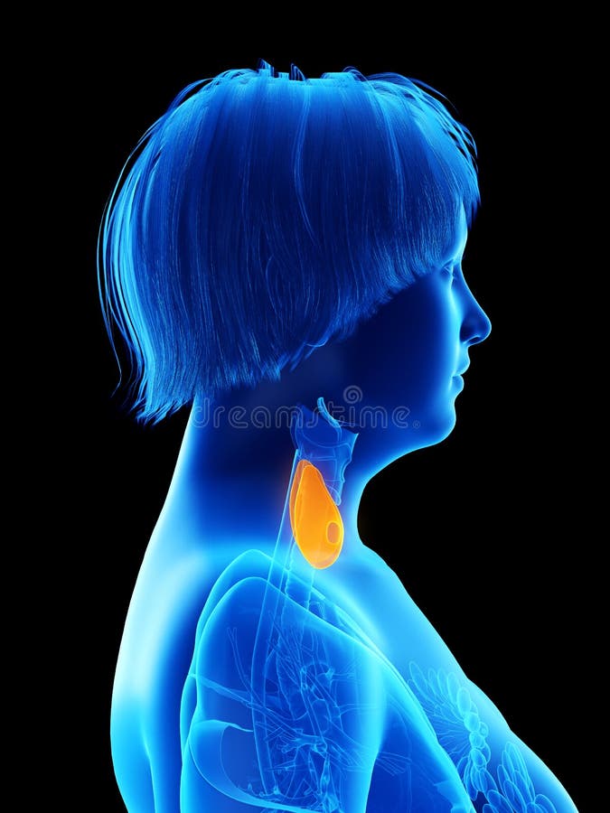 Een obese vrouw stock illustratie