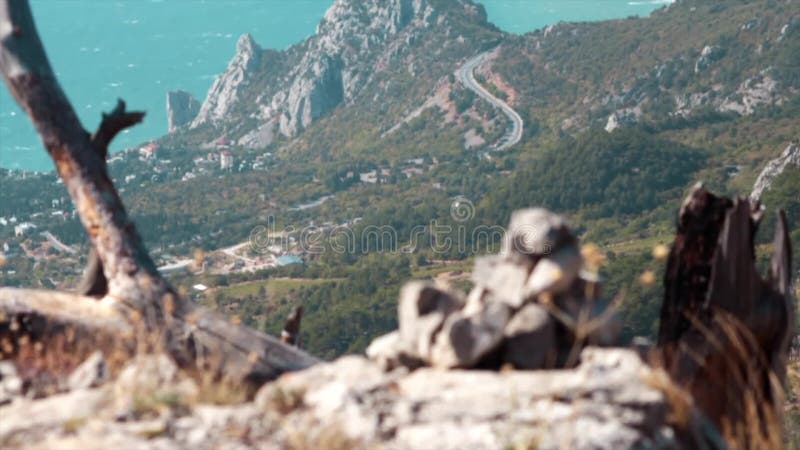 Eenzame boom en hieronder stad schot Mooie meningsbergen met oude boom, bewolkte hemel Mooi kleurrijk landschap binnen