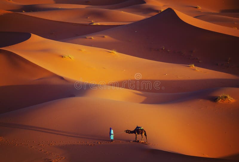 Eenzame mens en kameel in Sahara Desert royalty-vrije stock foto Eenzame mens en kameel in Sahara Desert royalty-vrije stock foto