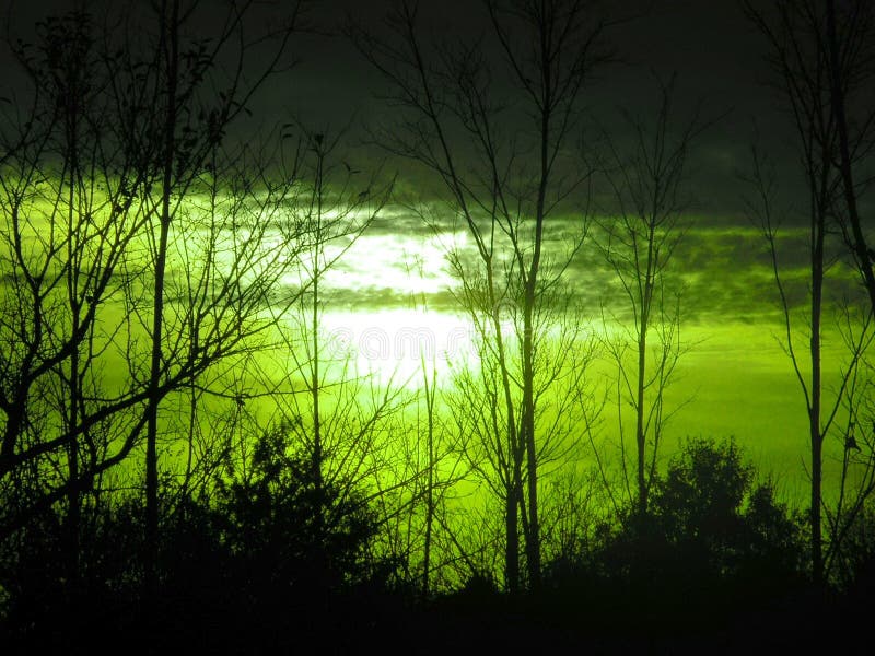 Progresivo misterioso niebla en meses la luz.