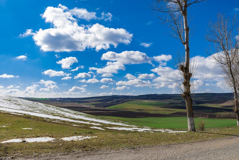 Eerste dag van de lentelandschap stock fotografie Eerste dag van de lentelandschap stock fotografie