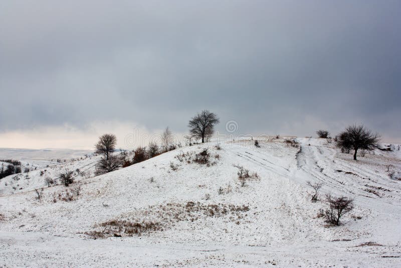 Eerste sneeuw stock foto's