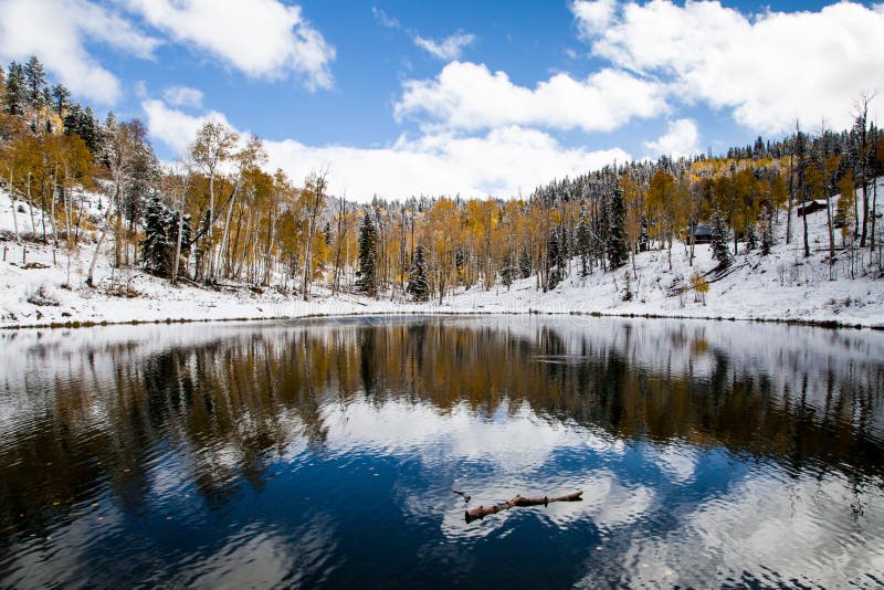 Eerste Sneeuw stock afbeeldingen