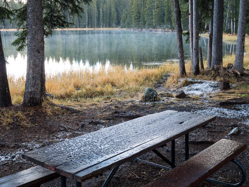 Eerste sneeuw op de camping royalty-vrije stock afbeelding