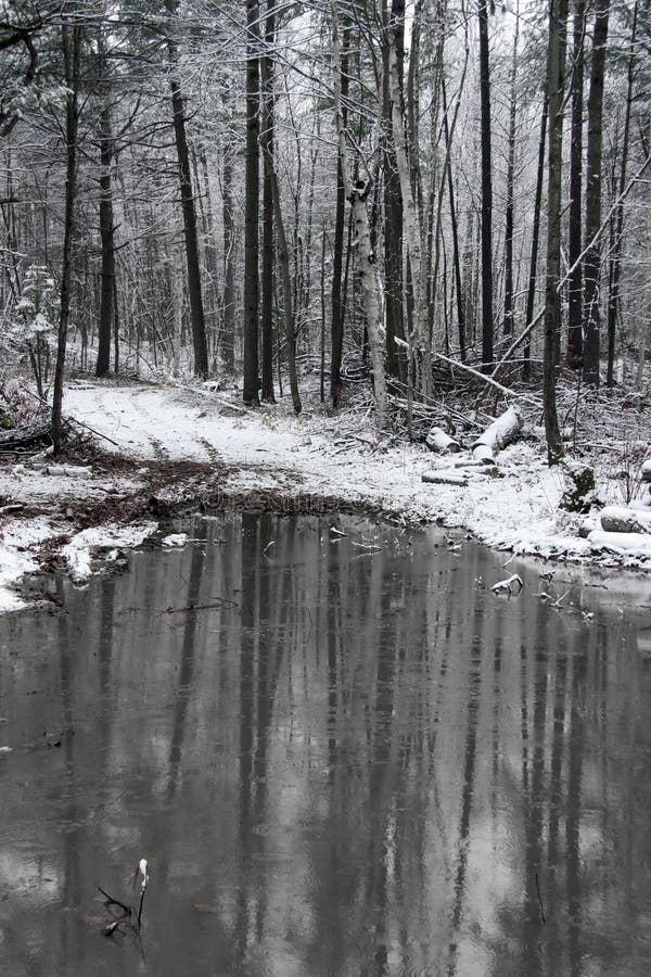 Eerste sneeuw met een vijver stock foto
