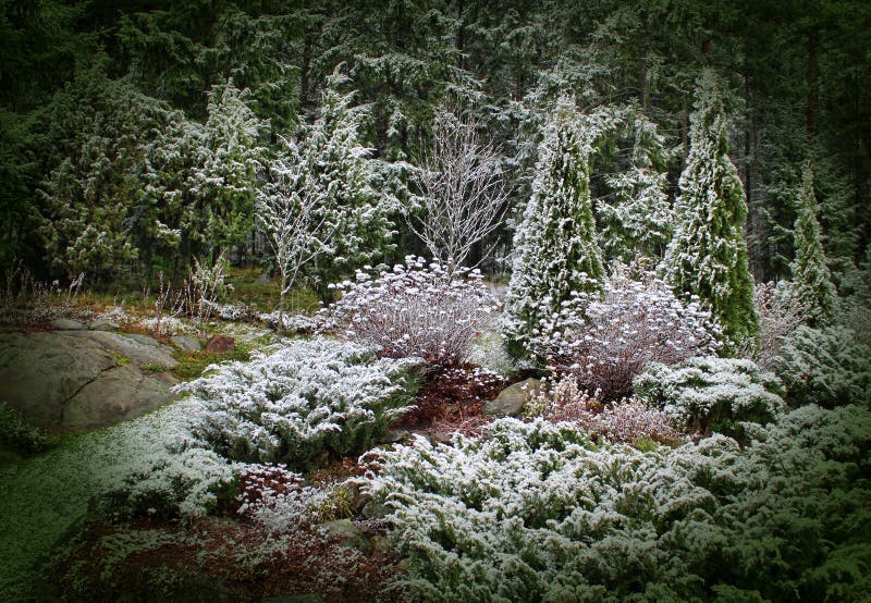 Eerste sneeuw in de mystieke tuin royalty-vrije stock foto