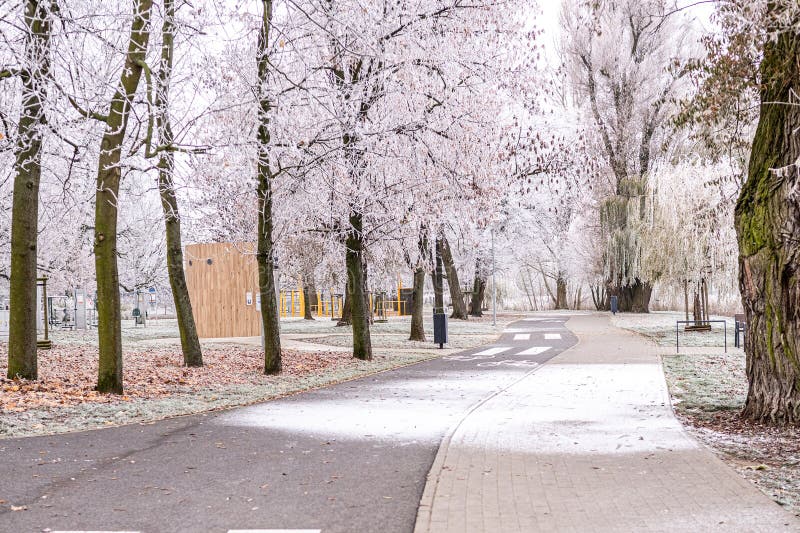 Eerste sneeuw valt op het pad stock afbeelding
