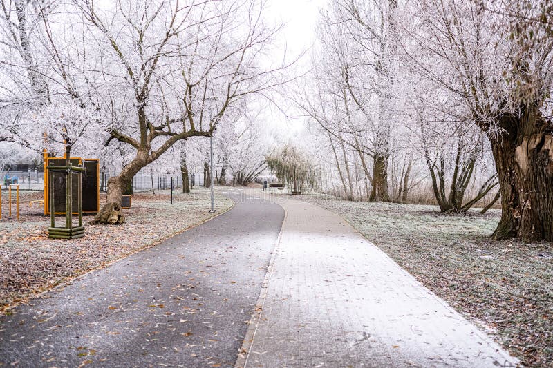 Eerste sneeuw valt op het pad stock fotografie
