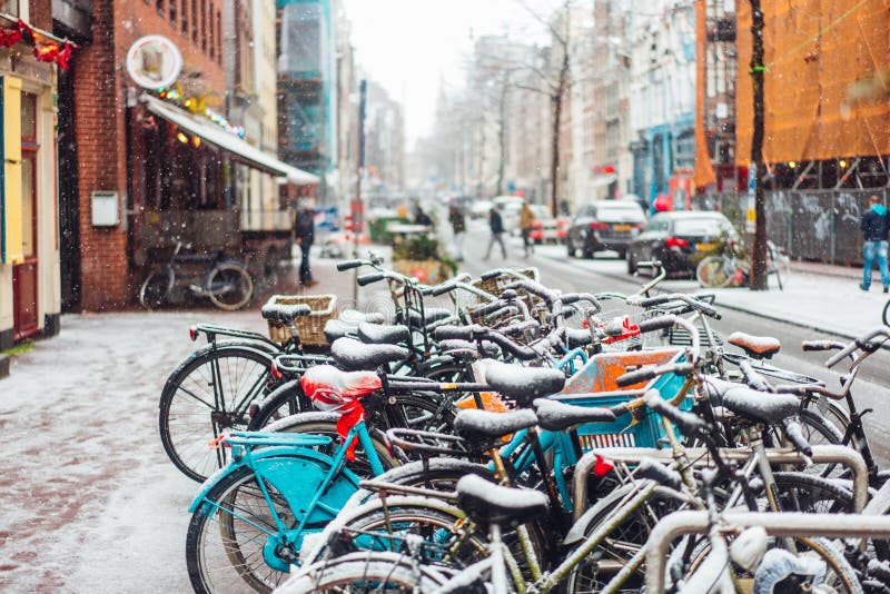 Eerste Sneeuw van het Jaar stock afbeelding