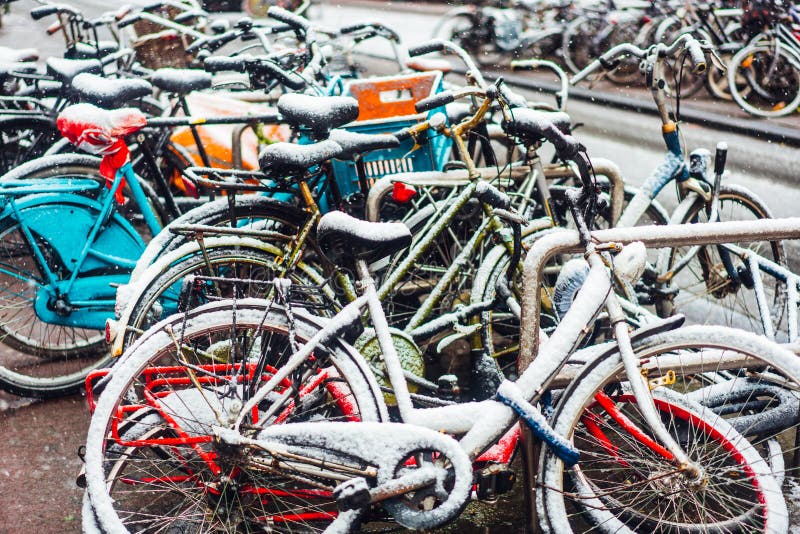 Eerste Sneeuw van het Jaar royalty-vrije stock afbeeldingen