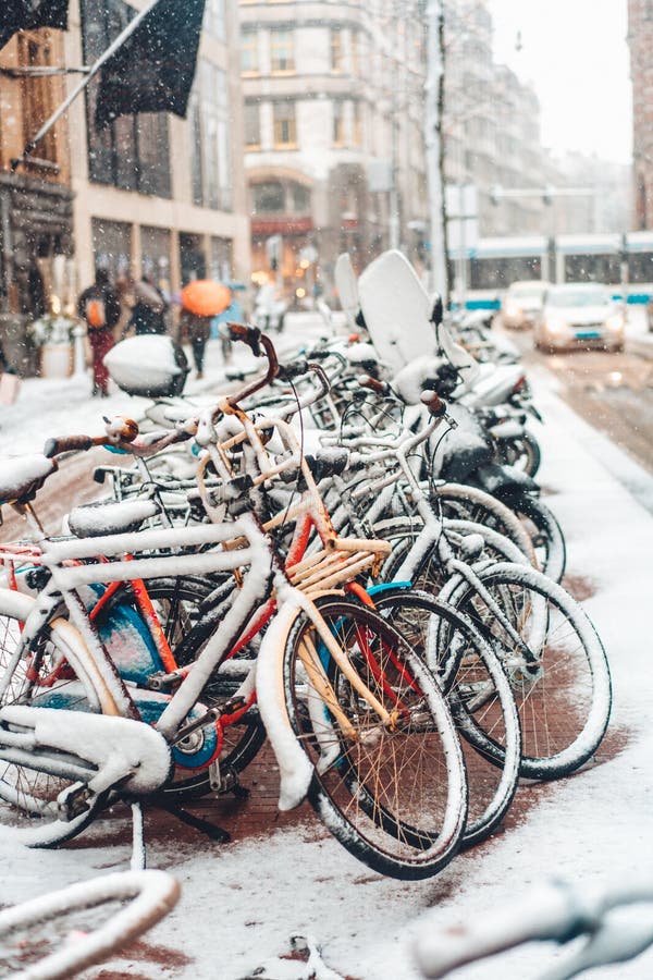 Eerste Sneeuw van het Jaar stock fotografie