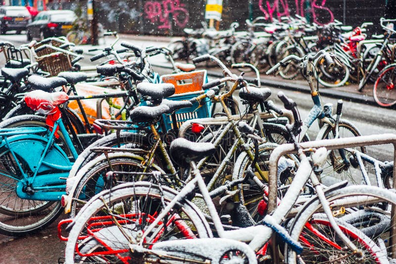 Eerste Sneeuw van het Jaar royalty-vrije stock foto's