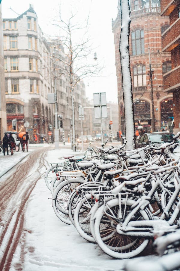 Eerste Sneeuw van het Jaar stock foto