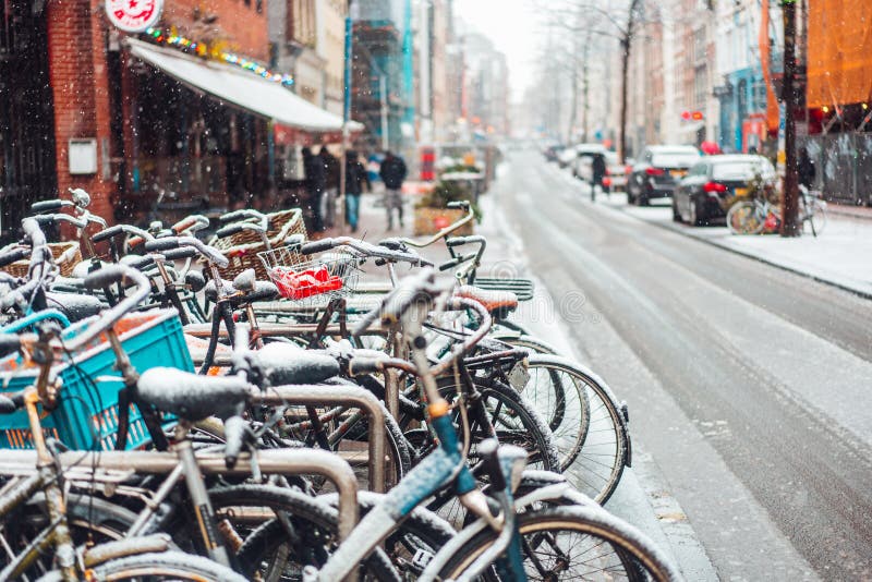 Eerste Sneeuw van het Jaar royalty-vrije stock afbeelding