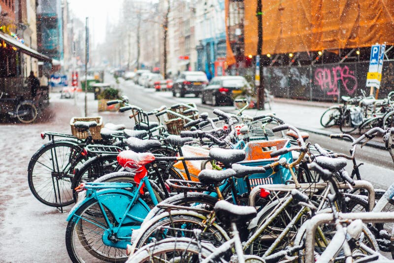 Eerste Sneeuw van het Jaar royalty-vrije stock afbeeldingen