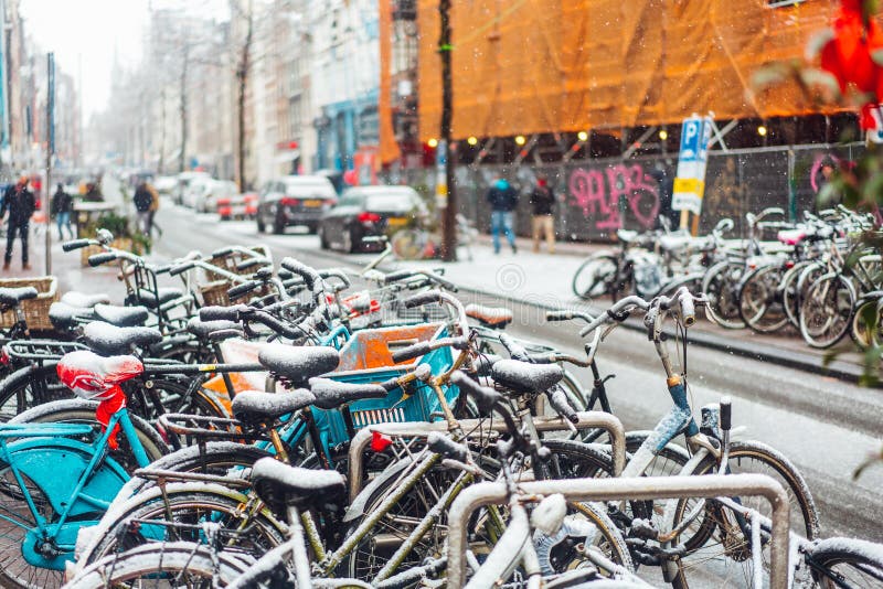 Eerste Sneeuw van het Jaar royalty-vrije stock fotografie