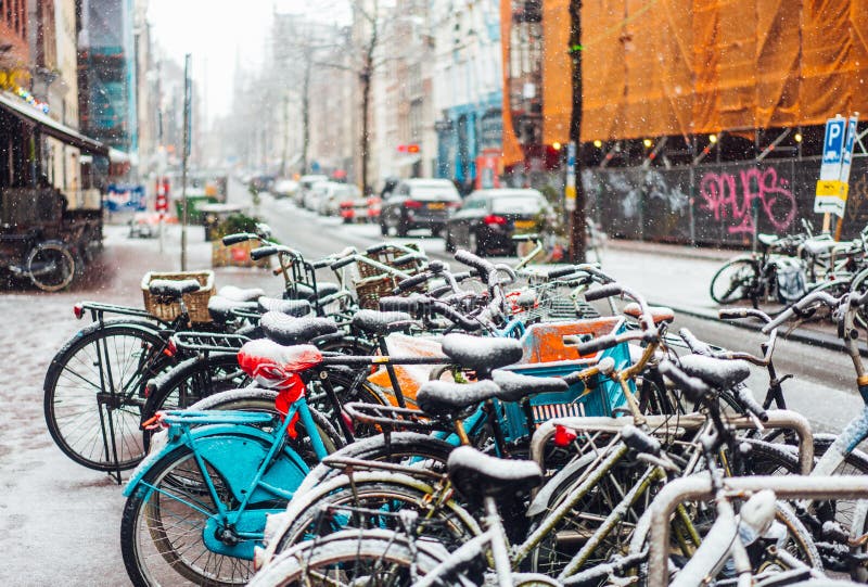 Eerste Sneeuw van het Jaar royalty-vrije stock fotografie