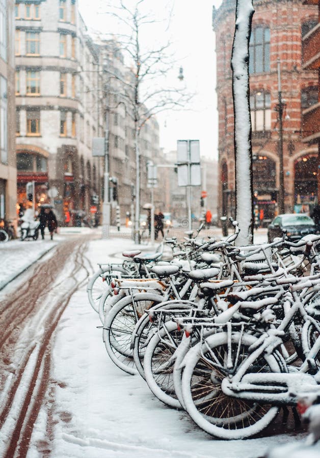 Eerste Sneeuw van het Jaar royalty-vrije stock afbeelding