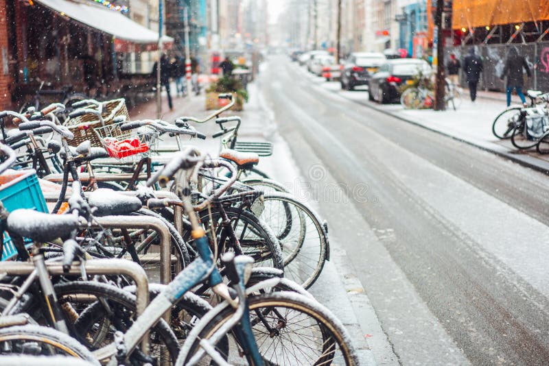 Eerste Sneeuw van het Jaar stock afbeeldingen