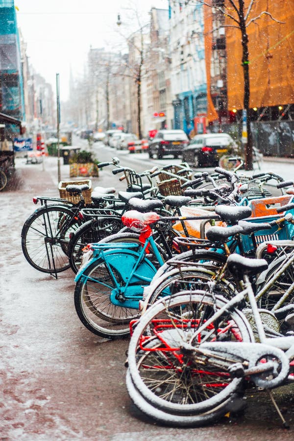 Eerste Sneeuw van het Jaar royalty-vrije stock afbeelding