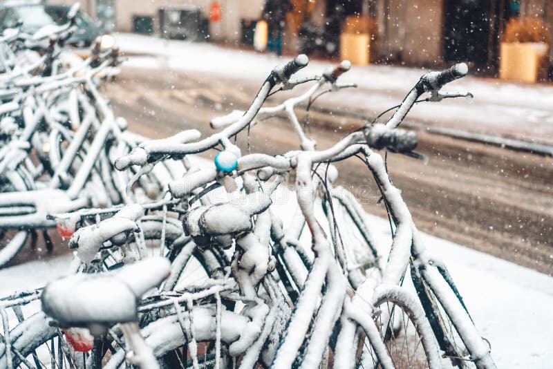 Eerste Sneeuw van het Jaar royalty-vrije stock foto