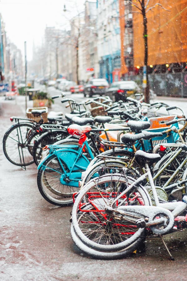 Eerste Sneeuw van het Jaar royalty-vrije stock afbeelding