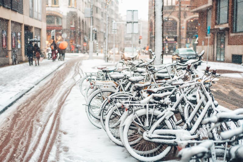 Eerste Sneeuw van het Jaar stock foto's