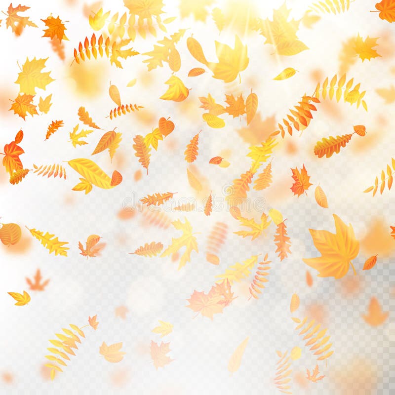 Effect van laag van de herfst de dalende bladeren met ondiep DOF onduidelijk beeld Het herfstmalplaatje van de gebladertedaling W royalty-vrije illustratie Effect van laag van de herfst de dalende bladeren met ondiep DOF onduidelijk beeld Het herfstmalplaatje van de gebladertedaling W royalty-vrije illustratie