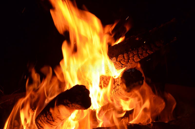 Effects on the Environment Speeding Up Environmental Disasters Like