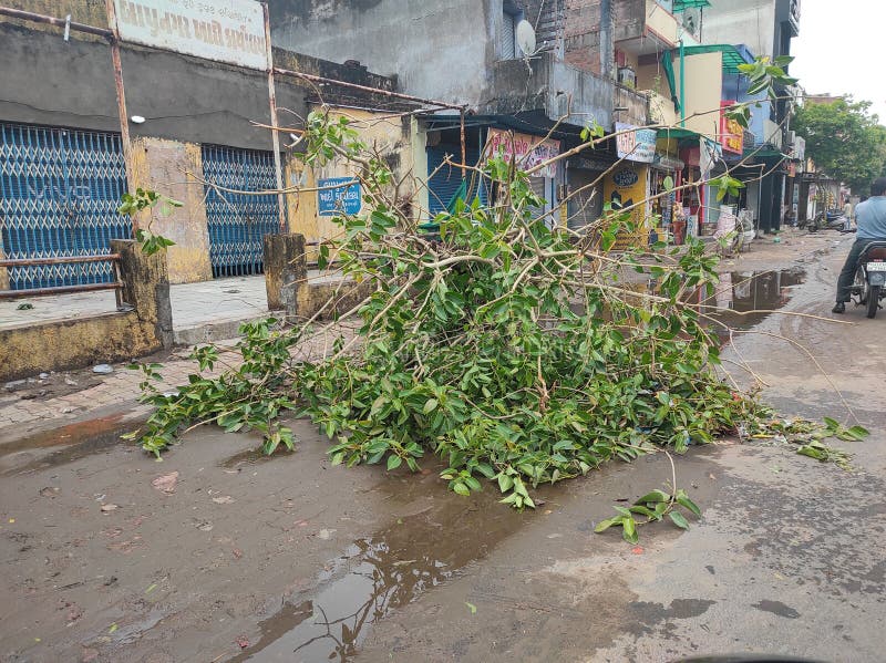 Effetto ciclone tauktae ad ahmedabad. immagine del materiale di moltiplicazione. fotografia stock