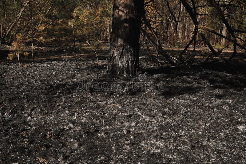 Efter branden arkivfoto