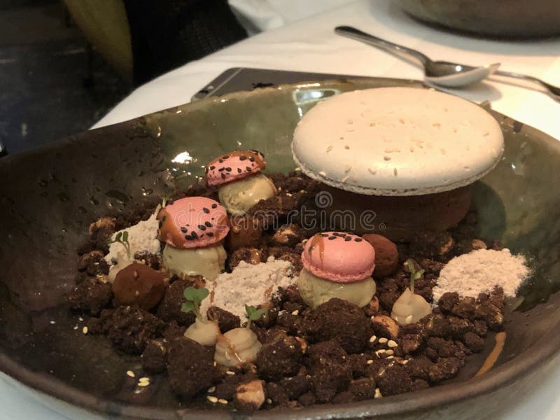 Dessert with cookies, ice cream and macarrons served at restaurant with one Michelin Star. High quality photo. Dessert with cookies, ice cream and macarrons served at restaurant with one Michelin Star. High quality photo