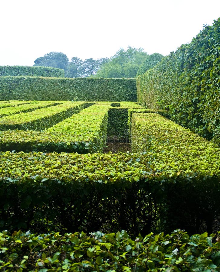 Close up of hedges forming maze in Egeskov castle gardens, Funen island, Denmark. Close up of hedges forming maze in Egeskov castle gardens, Funen island, Denmark.