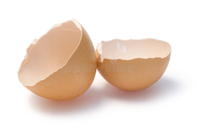 Egg