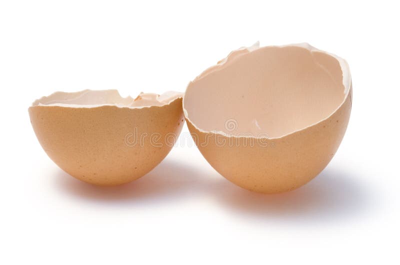 Egg