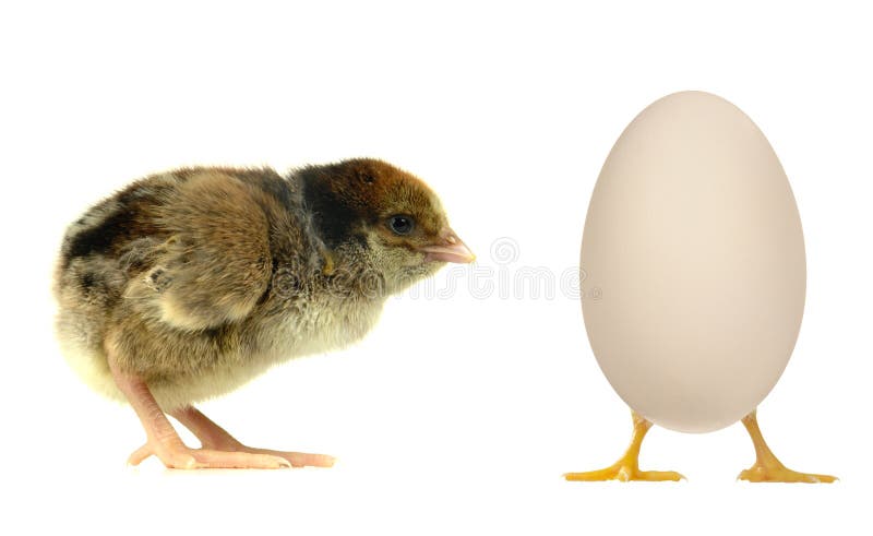 Egg