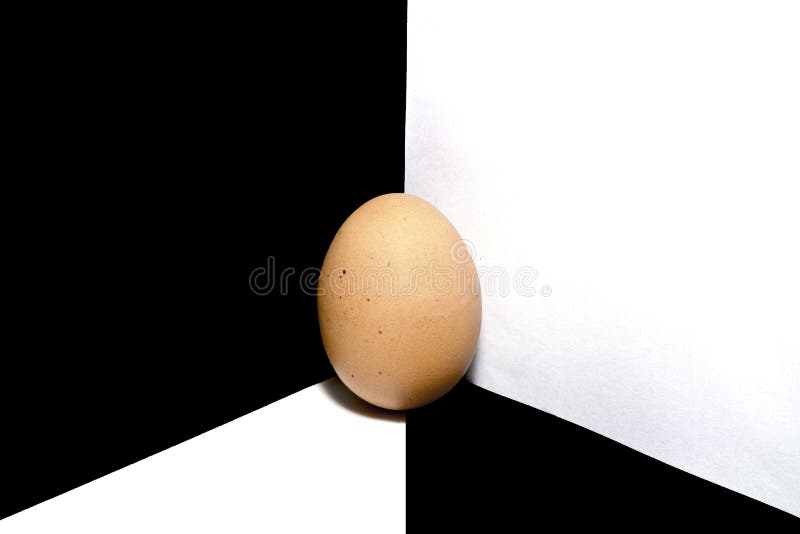 Egg