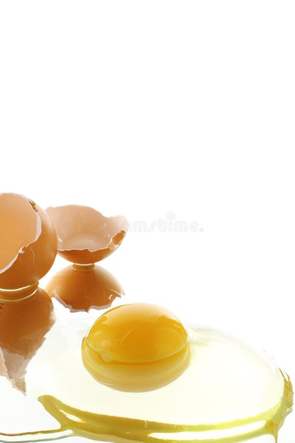 Egg