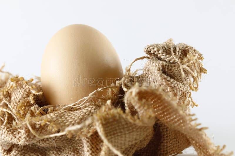 The Egg is in an Artificially Made Fabric Nest Stock Image Image of