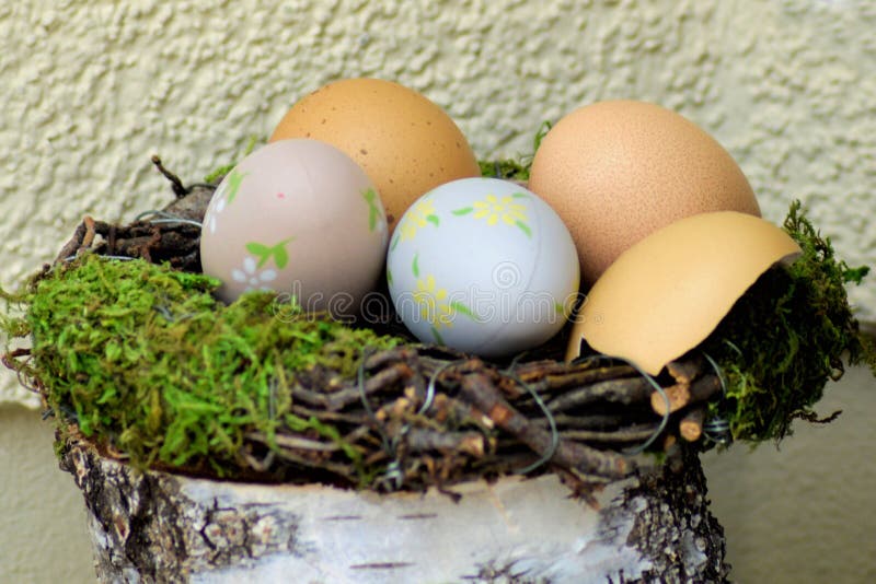 Egg, Bird Nest, Easter Egg, Nest Picture. Image 113738078