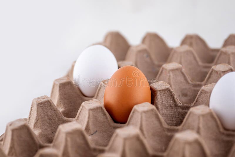 Pachet de ouă stoc fotografie ou gol carton aproape de ou. cutie de ouă stock image