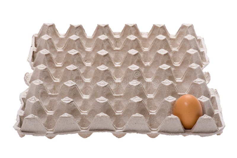 Egg on box on white royalty free stock images