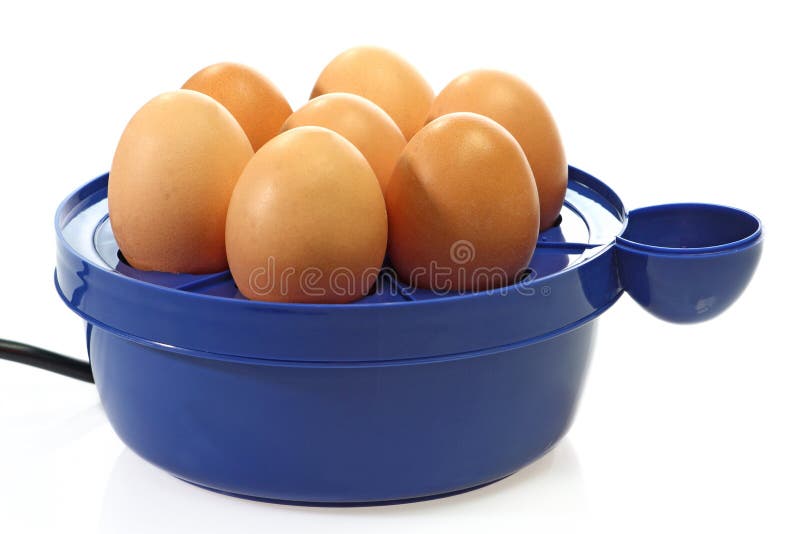 Egg broiler