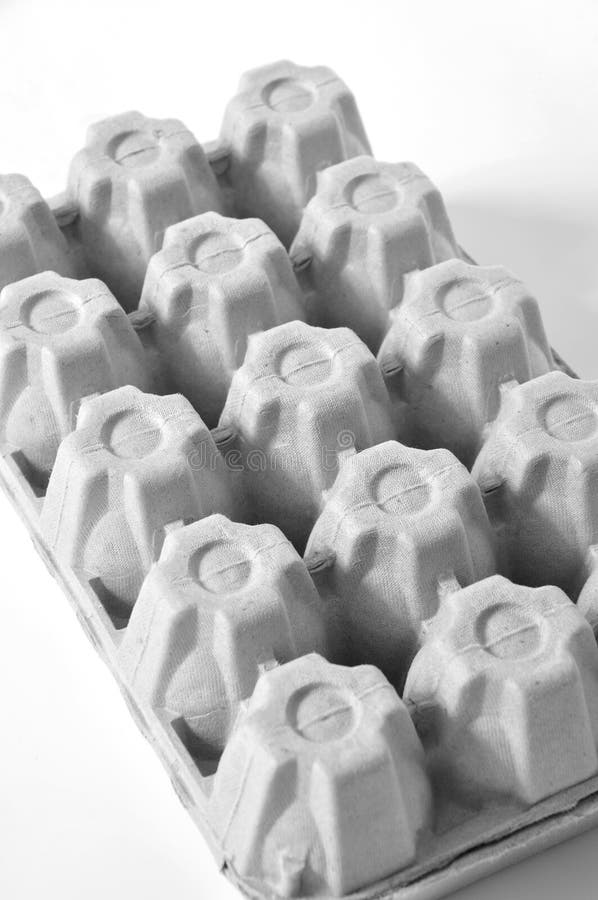 Two Dozen White Eggs Inside Egg Cartons Stock Photo Image of yolk