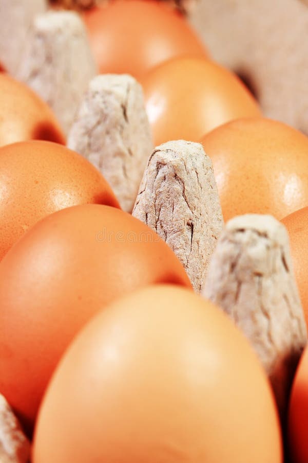 Egg Carton Picture. Image 6508177