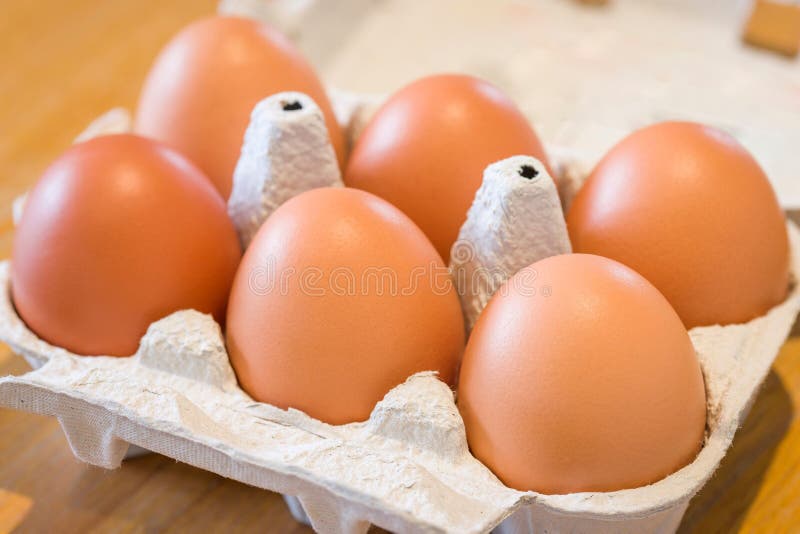 Egg Carton, Eggs in Recycled Cardboard Box, UK Stock Photo Image of